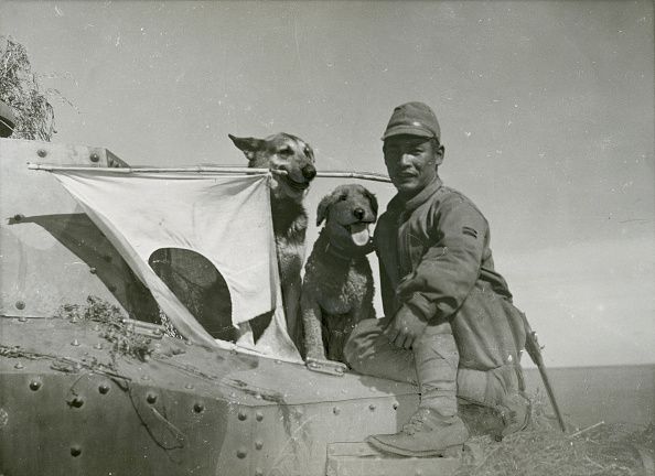 Private Good Boy (Digital)