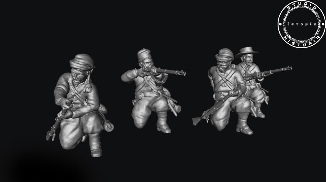Confederate Wheats Tiger Zouaves Infantry Digital Pack